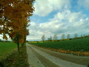 Trees on field against sky