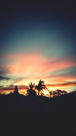 Silhouette of trees at sunset