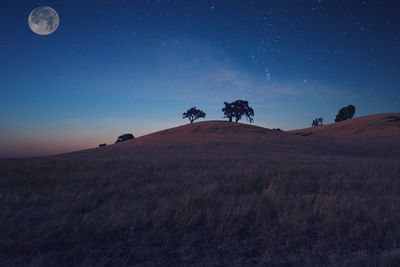 Scenic view of field against sky at night