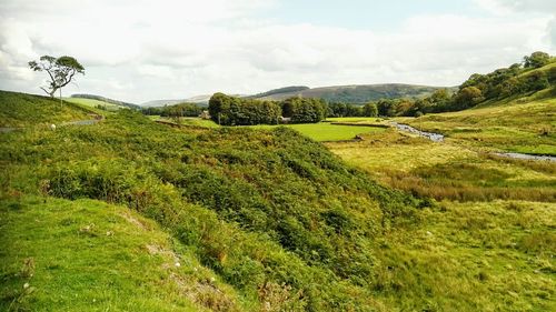 Scenic view of field against sky