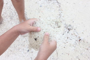 Close-up of person holding fish at beach