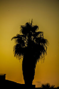 Low angle view of silhouette tree against sky during sunset