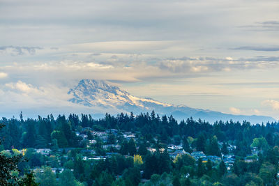 A blanked of clouds covers mount rainier in washington state.