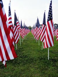 American flags on grassy field