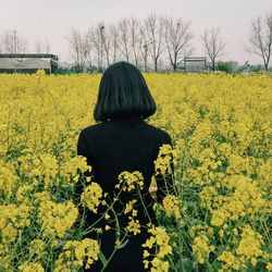 Rear view of woman standing on rape field against sky