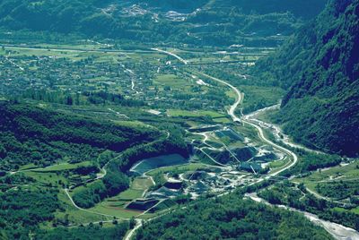 High angle view of agricultural landscape