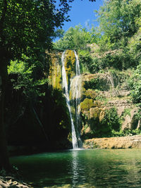 Scenic view of waterfall in forest