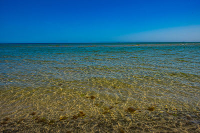 Scenic view of sea against clear blue sky