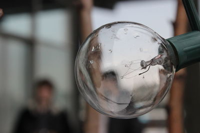 Close-up of wet light bulb