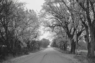 Road amidst trees against sky