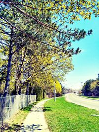 Empty road passing through forest