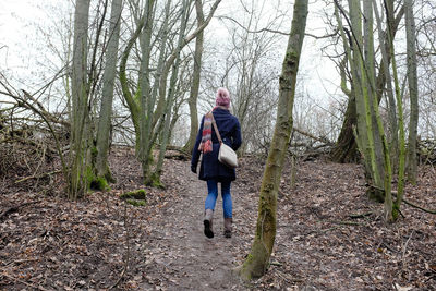 Rear view of men walking on bare trees in forest