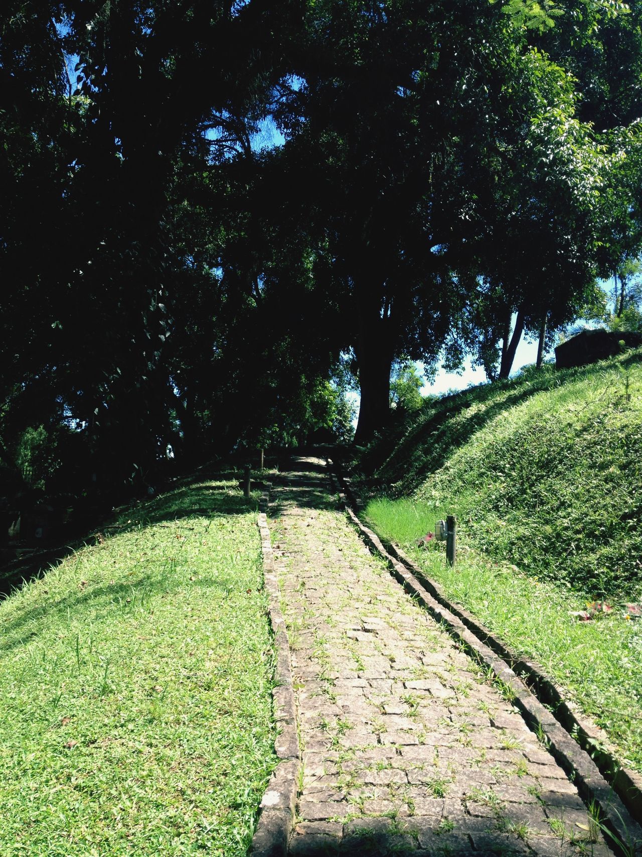 Cemitério do imigrante