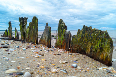 Old ship beams in sand on beach ship wreck