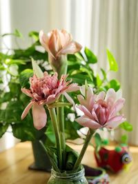 Close-up of pink flowers in vase