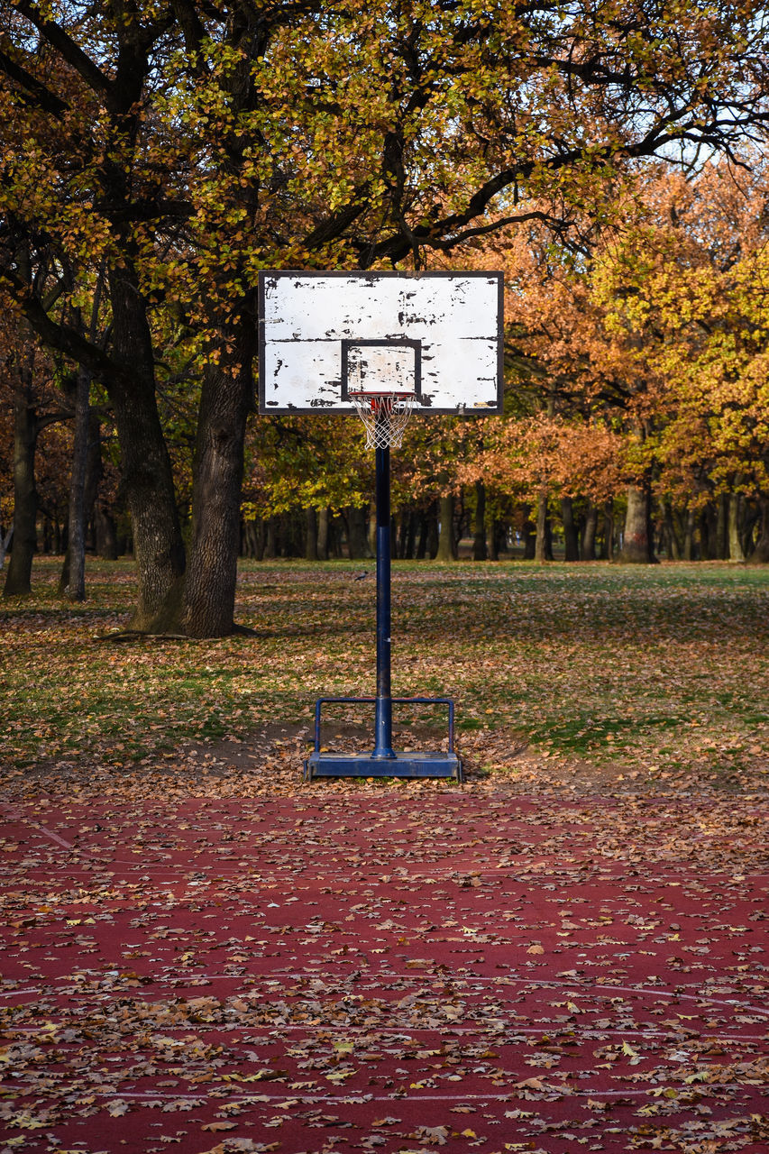 ROAD SIGN IN PARK