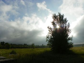 Scenic view of grassy field against sky during sunset