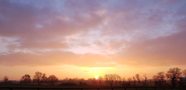 Silhouette trees against sky during sunset