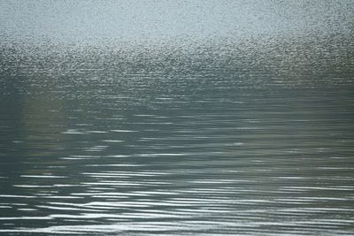 Full frame shot of rippled water