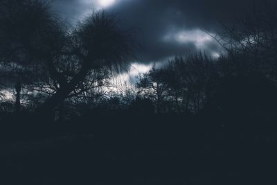 Low angle view of silhouette trees against sky