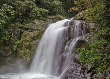 Scenic view of waterfall in forest