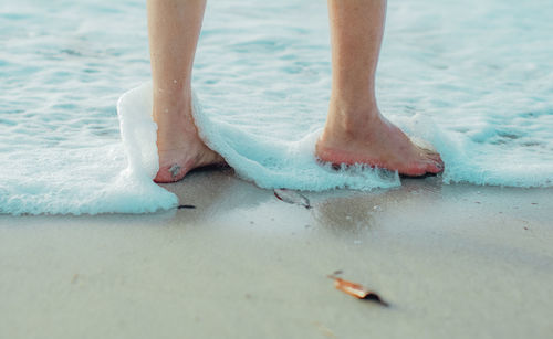 Low section of person standing on beach