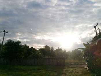 Trees on field against sky at sunset