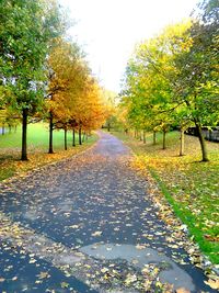 Footpath passing through a forest