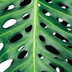 Full frame shot of metal