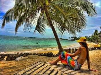 View of palm trees on beach