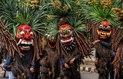 Panoramic shot of plants growing outdoors