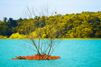 Scenic view of sea against clear sky