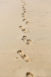 High angle view of footprints on sand at beach