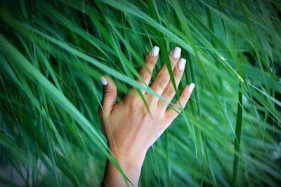 Low section of woman on grass