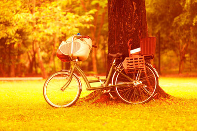 Bicycle in park