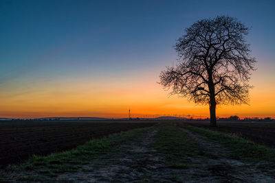 Silhouette tree on field against sky during sunset