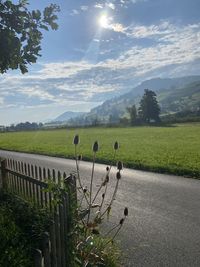 Scenic view of field against sky