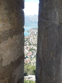 Trees and buildings seen through window