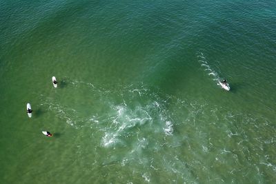 High angle view of people surfing on sea