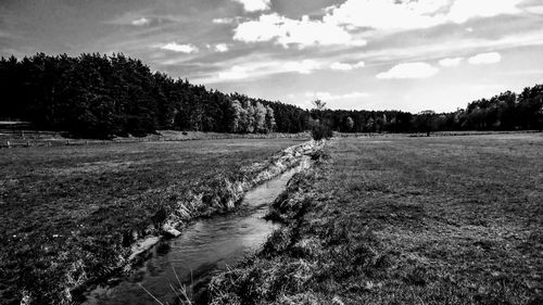 Scenic view of landscape against sky