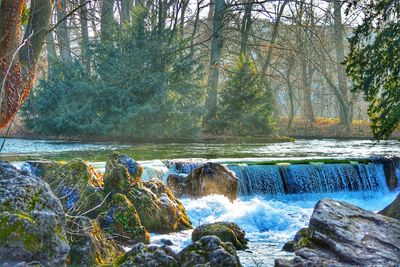 Scenic view of waterfall in forest