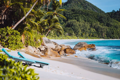 Scenic view of beach against sky