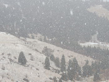 View of snow covered land