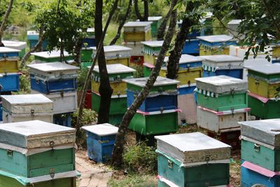 Beekeeping honey produce