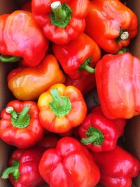 Full frame shot of bell peppers for sale in market