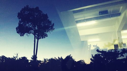 Low angle view of trees against sky