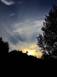 Silhouette trees against sky at sunset