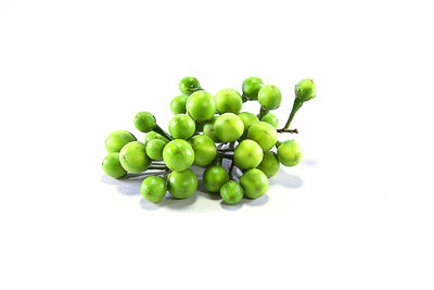 High angle view of grapes over white background