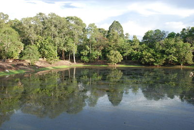 Scenic view of lake against trees in forest