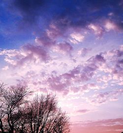 Low angle view of trees against cloudy sky